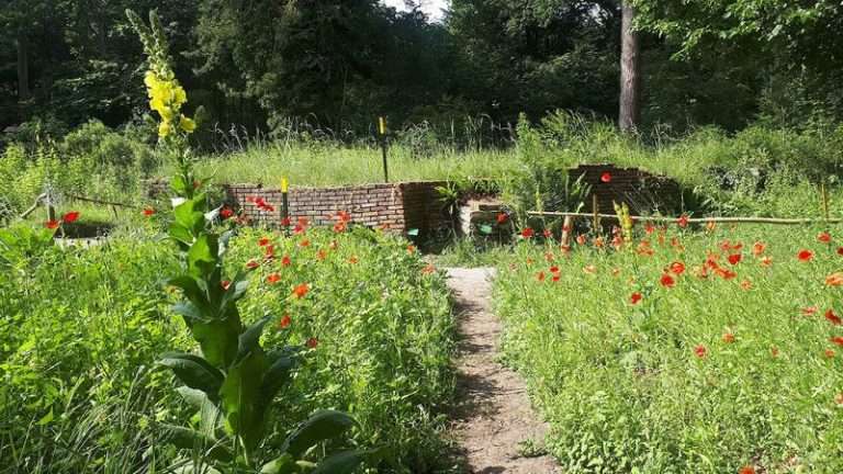 Planten- en vogeltuin Thijsse's Hof in Bloemendaal