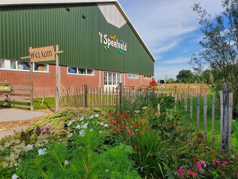 Experience farm Veldzicht Hoeve ‘t Veld