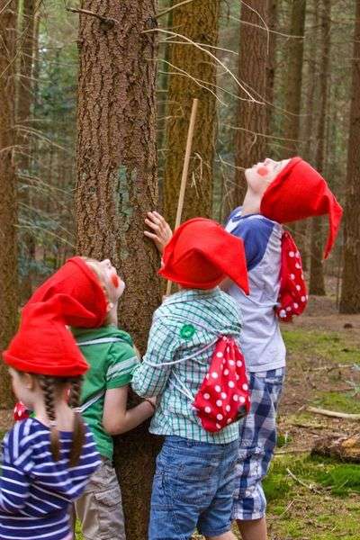 Staatsbosbeheer - Duinkabouterpad Hollands Duin