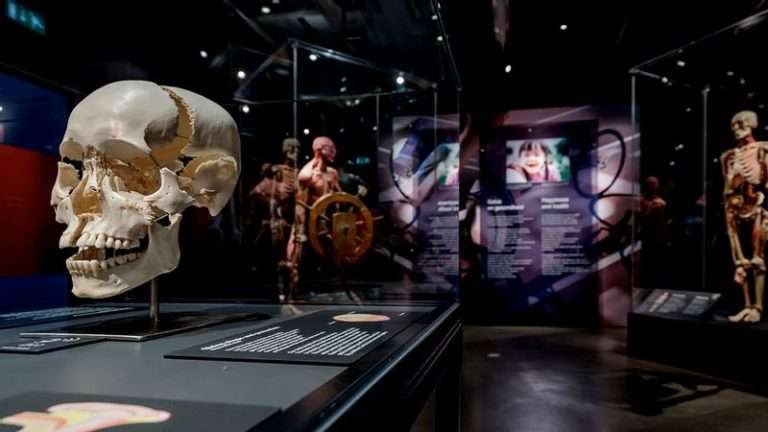 BODY WORLDS Amsterdam