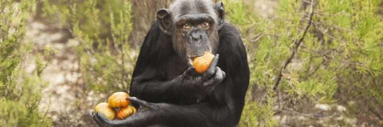 Guided tour at the AAP Foundation in Almere