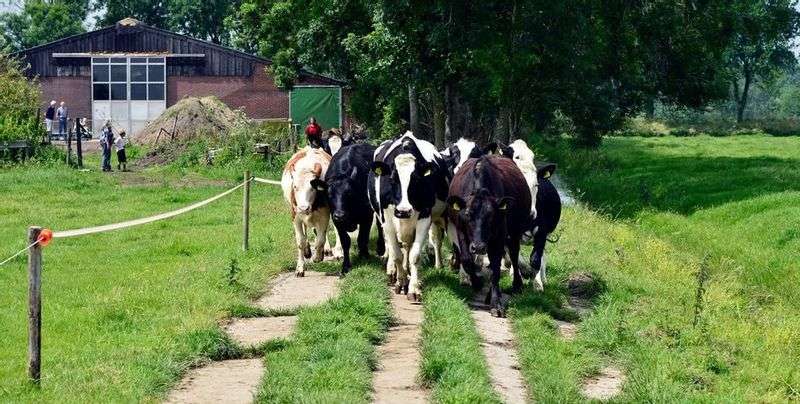 Bezoekboederij White Ranch
