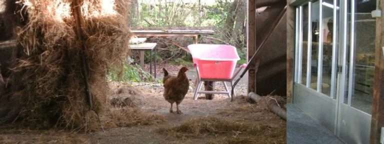 Stadsboerderij de StadsHoeve