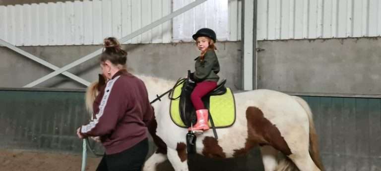 Fun with pony and horse at horse shelter De Paardenhoefjes
