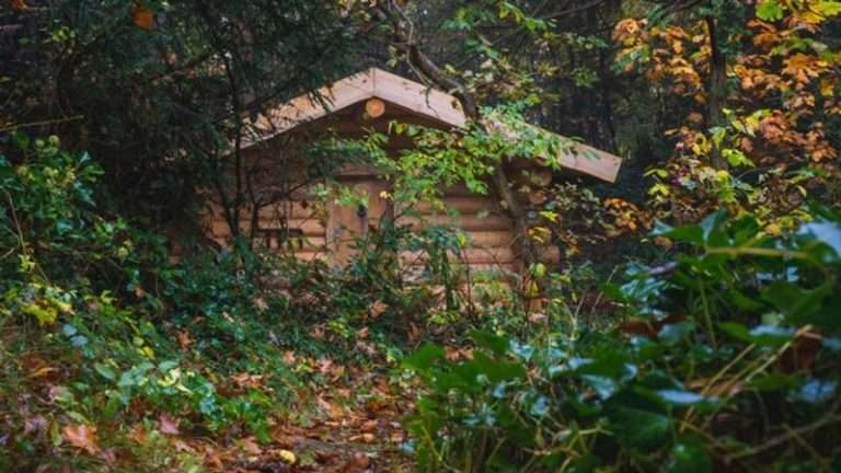 Blooming Escape Room: Dr. Carls Cabin in Bergen