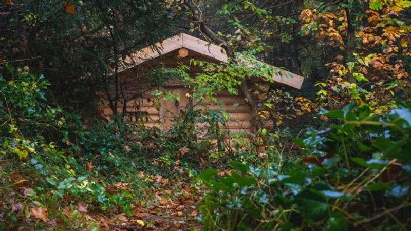 Blooming Escape Room: Dr. Carls Cabin in Bergen