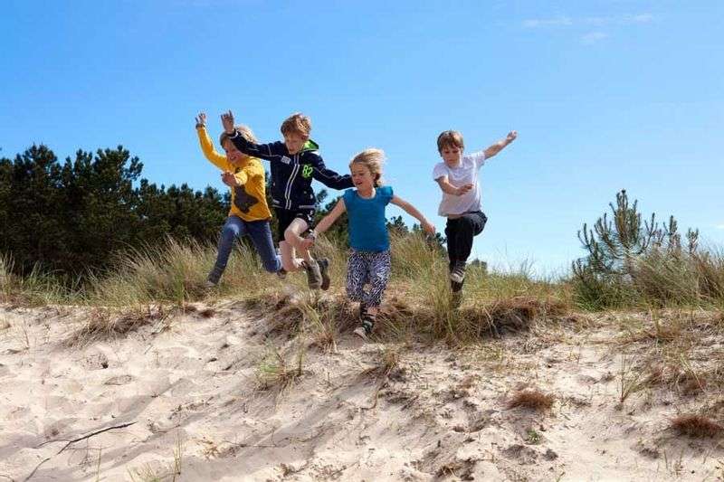 Dierenvriendjespad in the Schoorlse Duinen