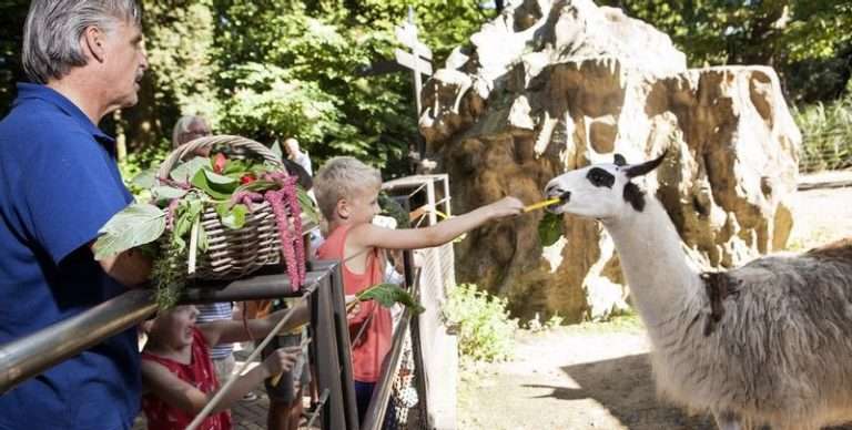 Kinderfeestjes in ARTIS