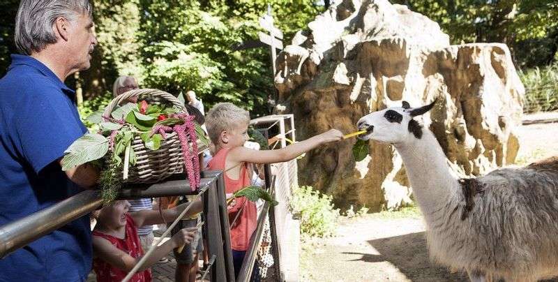 Kinderfeestjes in ARTIS