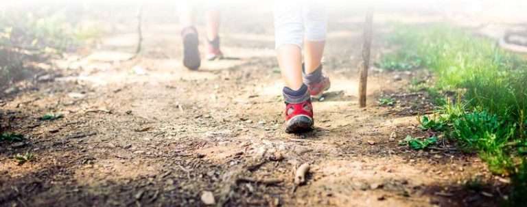 Polder walk in Spaarnwoude Park (9 km)