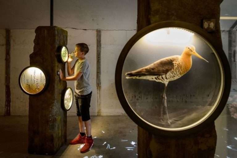 Fort K'ijk experience center (Fort at Krommeniedijk)