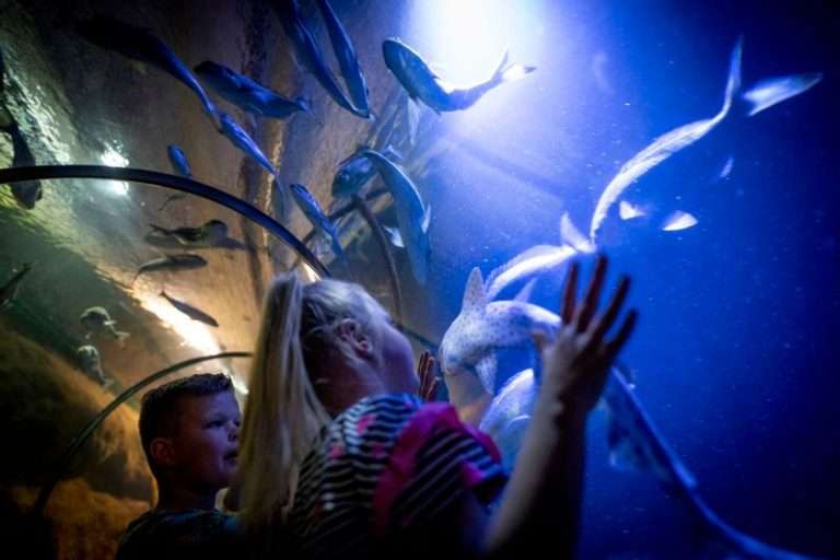 Fort Kijkduin Huisduinen met Noordzee-aquarium
