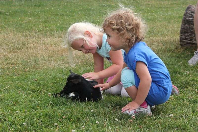 Kinderboerderij De Dierenhoeve