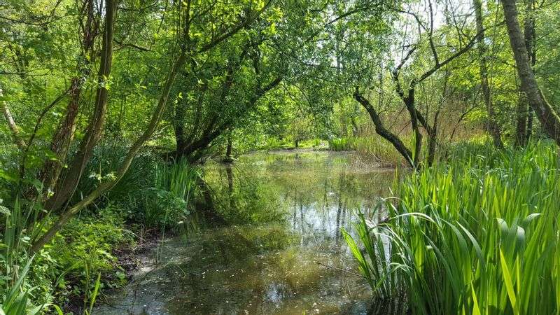 Heemtuin Sloterpark en het Ruige Riet
