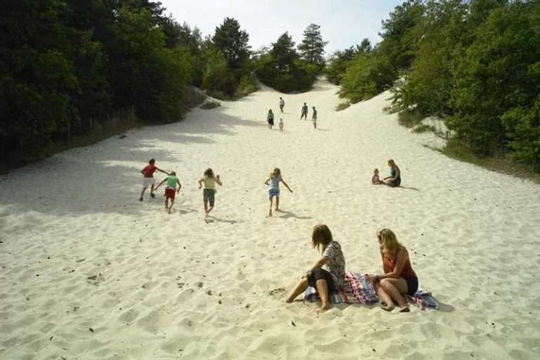 Hogeduinenpad in de Schoorlse Duinen