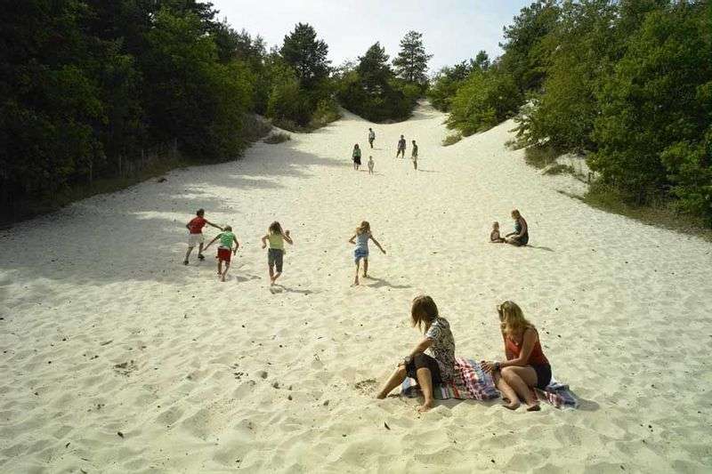 Hogeduinenpad in de Schoorlse Duinen