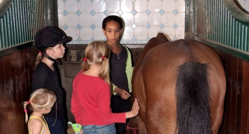 The Dutch Manege