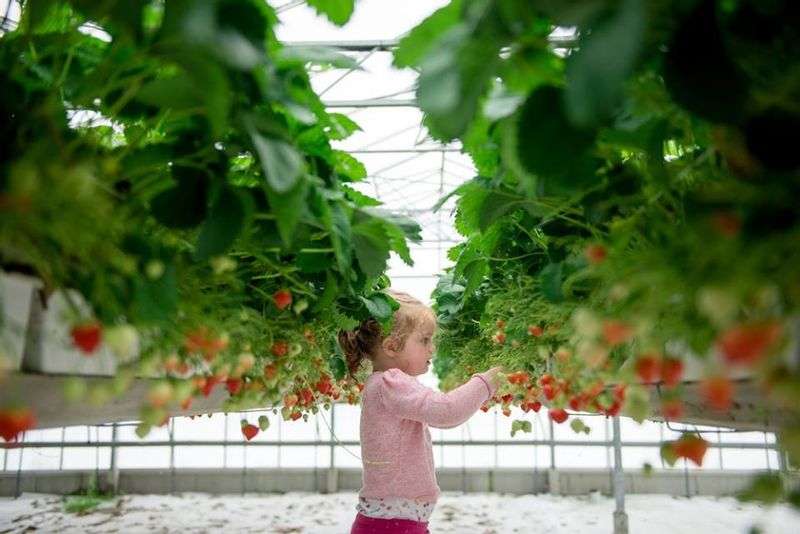 Self-picking garden By Broersen Warmenhuizen