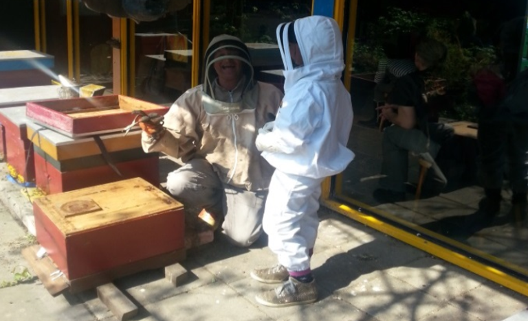 Beekeeping The Apiary