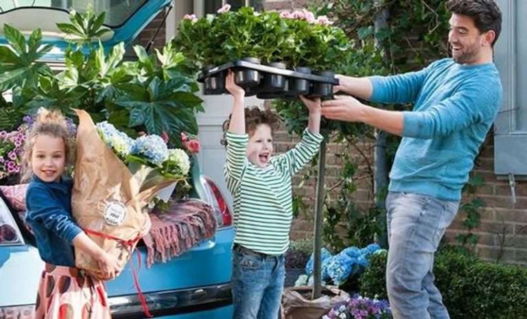 Intratuin Heerhugowaard