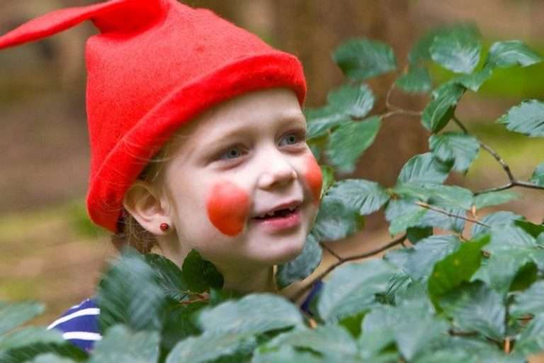 Kabouterpad Schoorlse Duinen