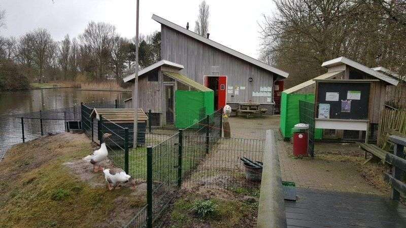 Kinderboerderij Kibo Schagen