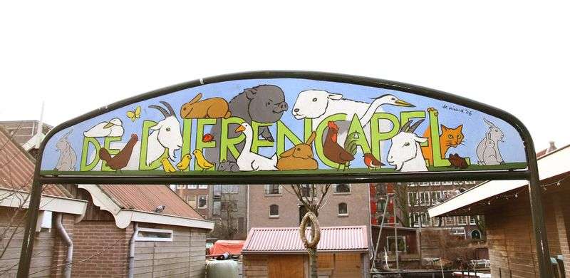 Petting zoo De Dierencapel