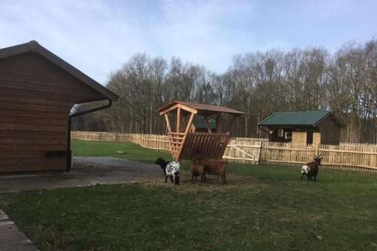 Children's farm 's Heeren Loo