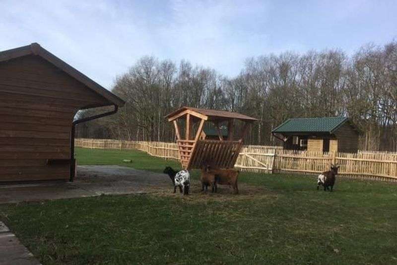 Children’s farm ‘s Heeren Loo