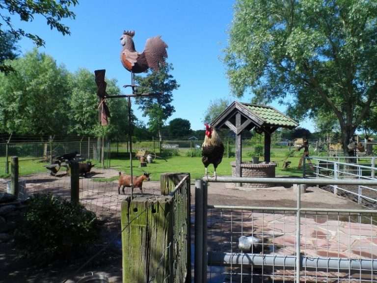 Kinderboerderij 't Dierenduintje