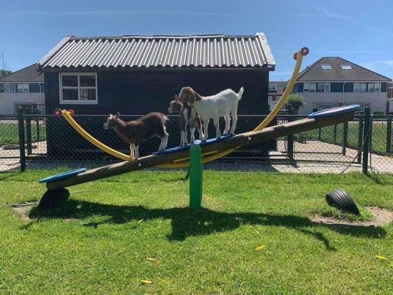 Children's farm 't Weidje