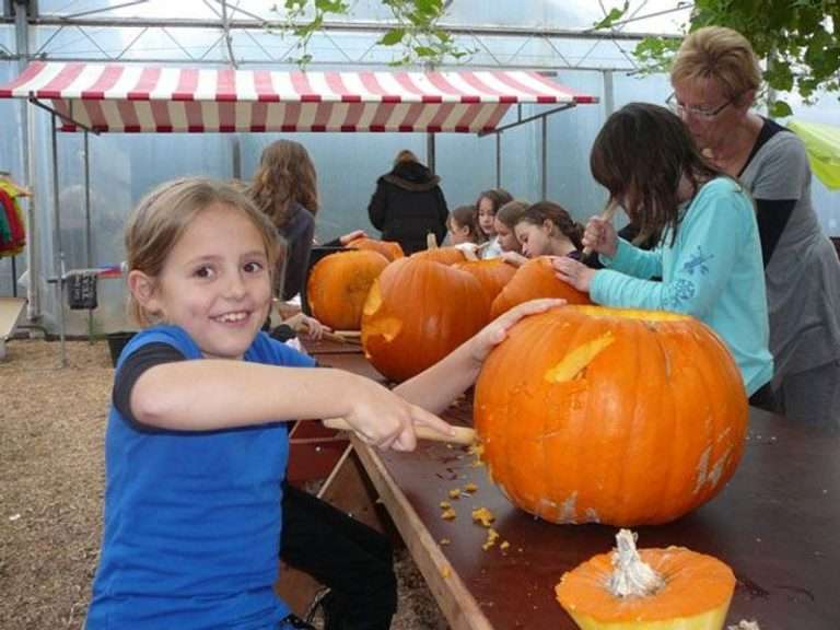 Children's party at Tuinderij de Marlequi