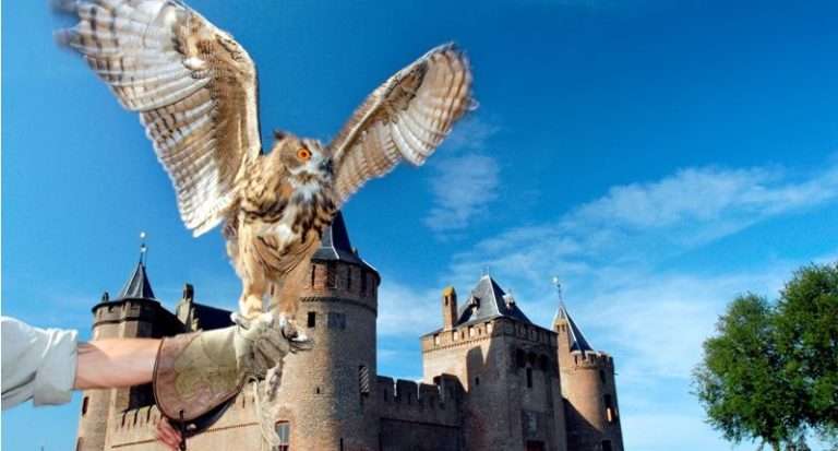 Children's party at the Muiderslot