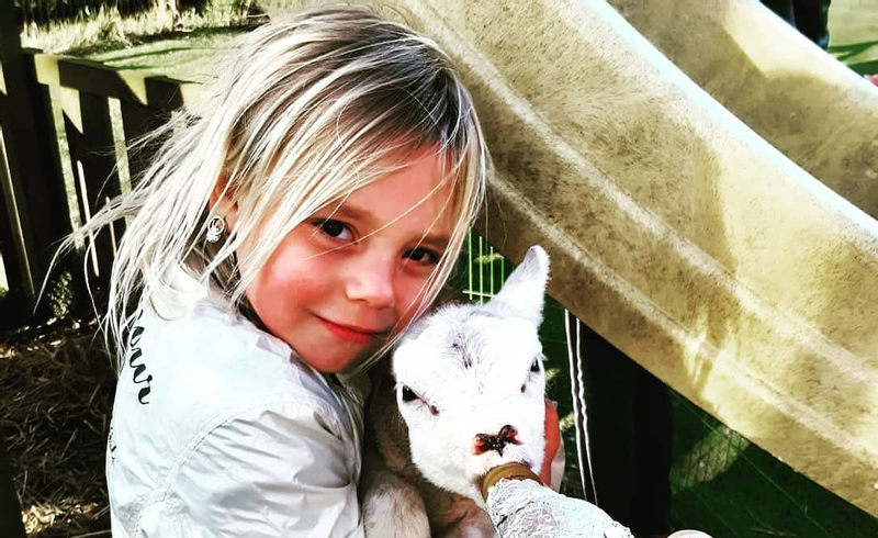 Simonehoeve: cheese & clog farm near Volendam