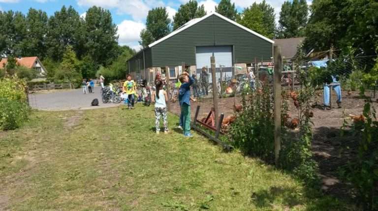 Zorgboerderij De Landyn in Zwaanshoek