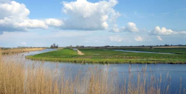 Nature reserve Eilandspolder