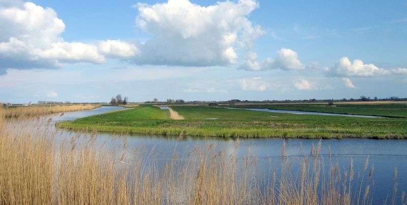 Nature reserve Eilandspolder