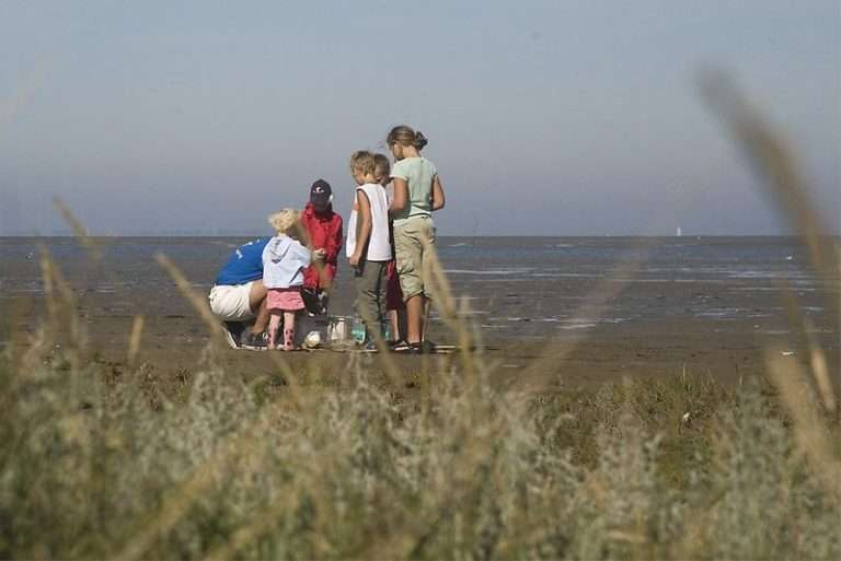 Natuurinformatiecentrum Balgzand t Kuitje