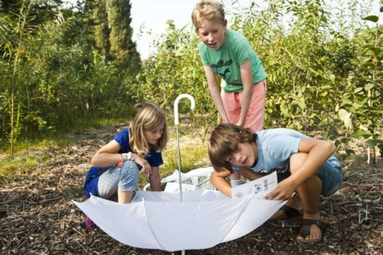 Haarlem Schalkwijk heeft een Tiny Forest met natuurspeeltuin!