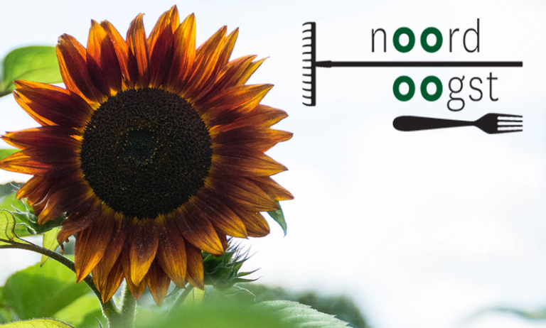 Stadstuinderij NoordOogst CSA Zelfoogsttuin