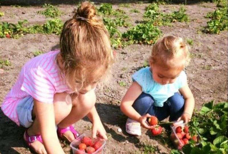 Kinderfeestje bij De Oude Boerderij