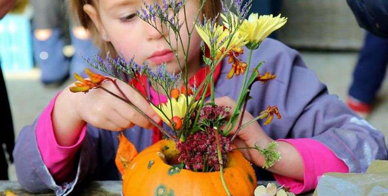 Pumpkin Farms in the Netherlands for Kids to Pick and Carve Their Own