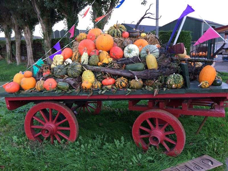 Pompoenboerderij Onderdijk