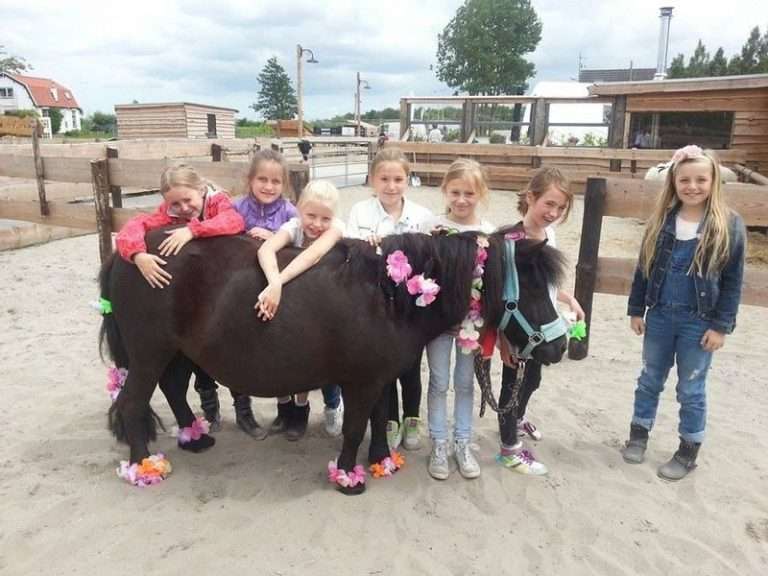 Children's party at De Bonte Belevenis