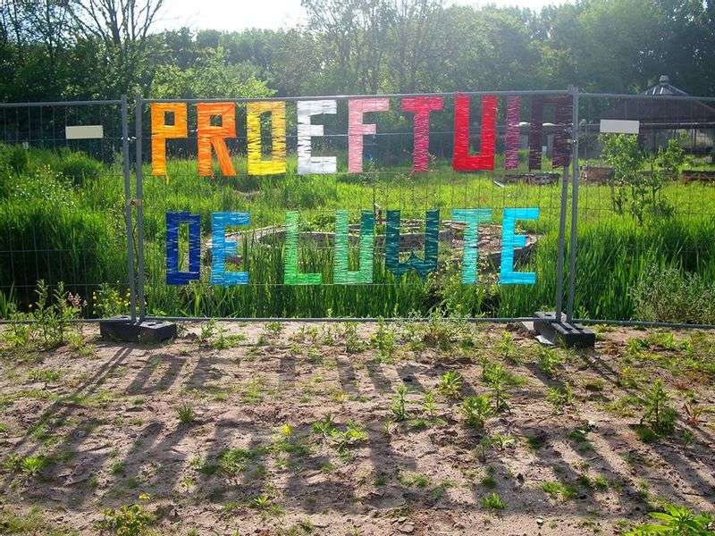 Experimental garden de Luwte