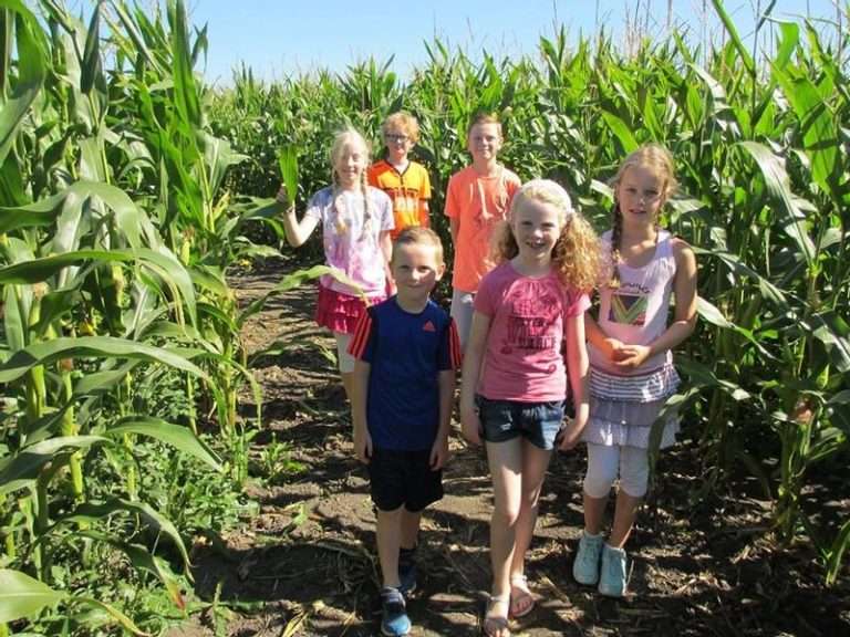 Recreatiegebied De Buitenlanden