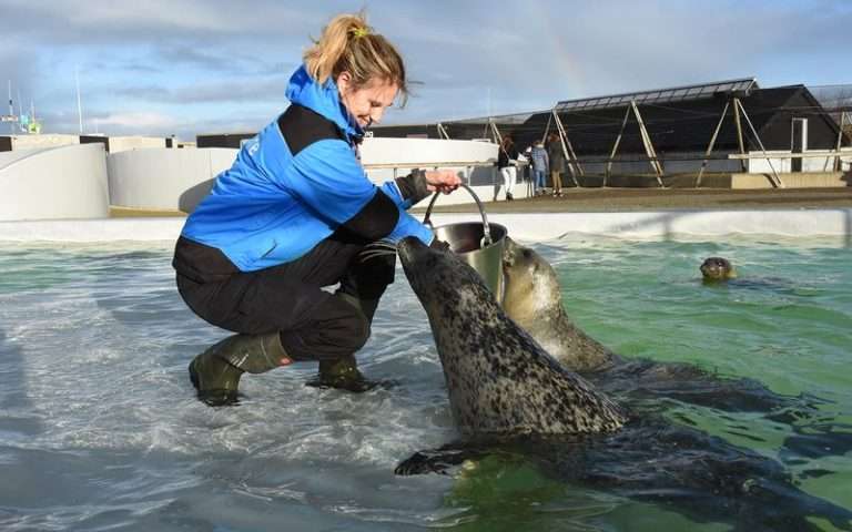 Ecomare De Koog - Texel