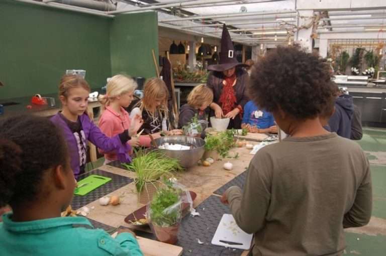 Tropische tuin Rozen & Radijs in Burgerveen