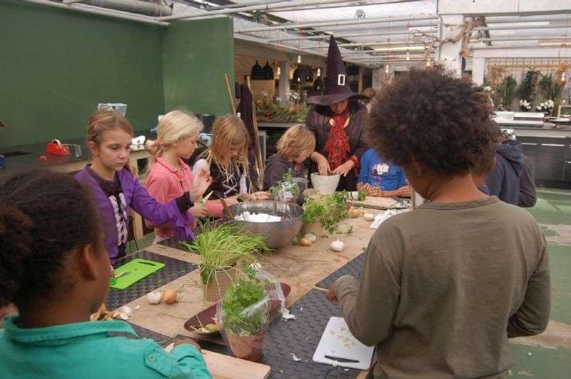 Tropische tuin Rozen & Radijs in Burgerveen