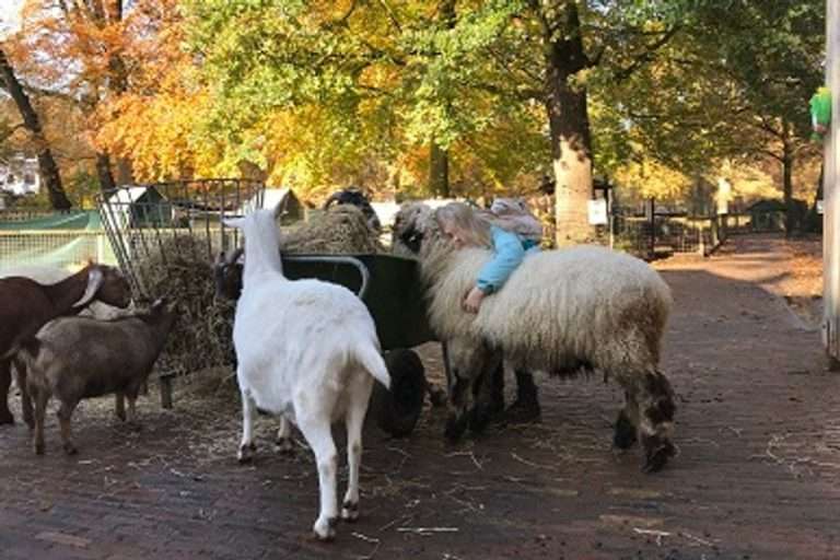 Children's farm De Schoterhoeve in Haarlem-North